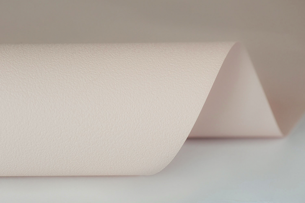 MSD матовый цвет 501