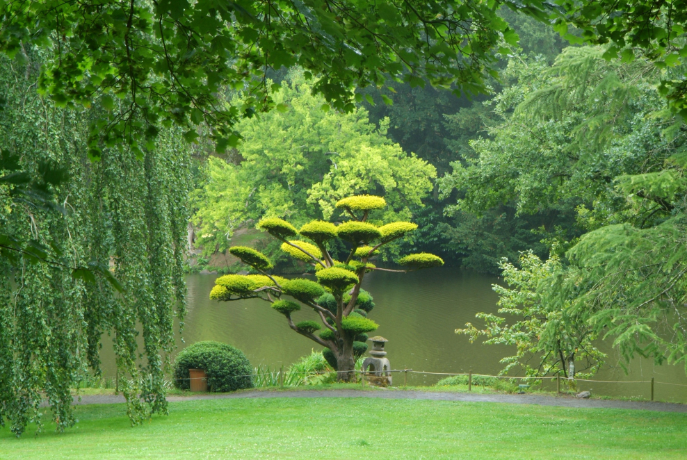 Сады ниваки Япония