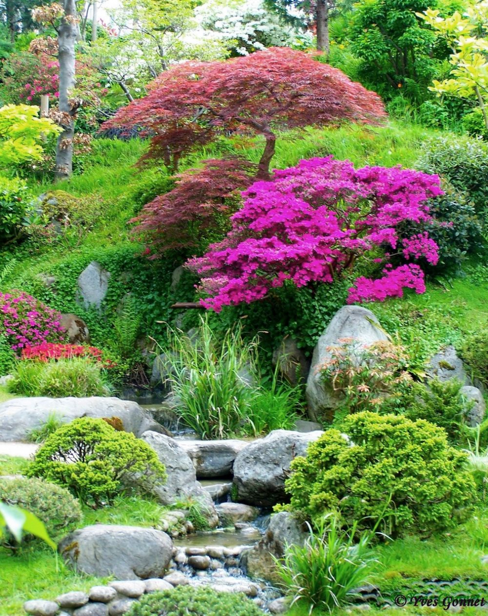 Сад Альбер Кан французский сад