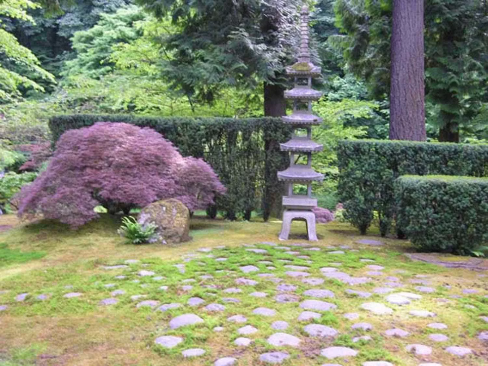 Син сады Японии