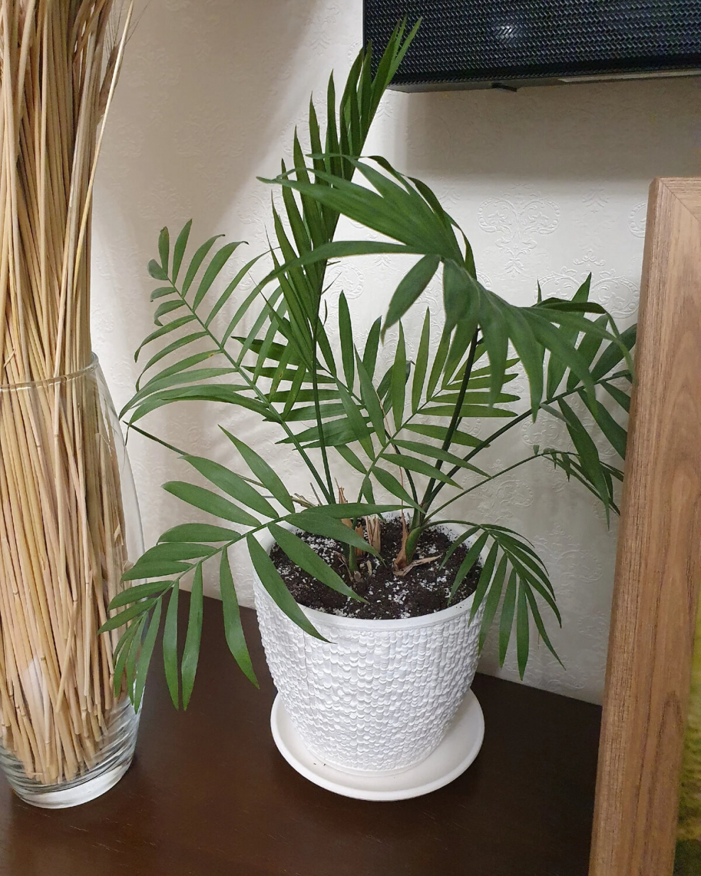 Кашпо ikea чиафрен