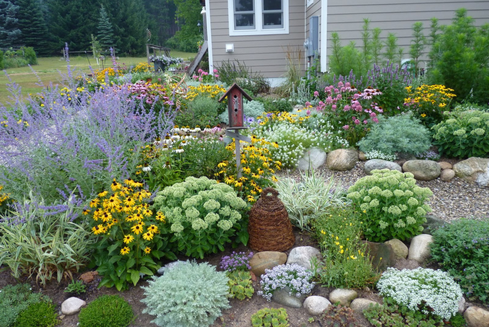 Цветочные клумбы на огороде