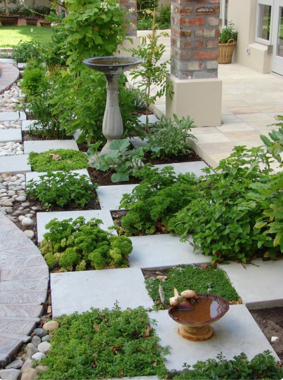 Декоративный огород пряных трав