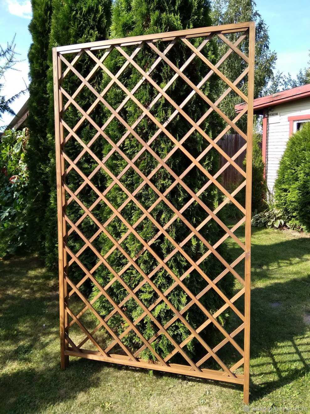 Шпалера на заборе