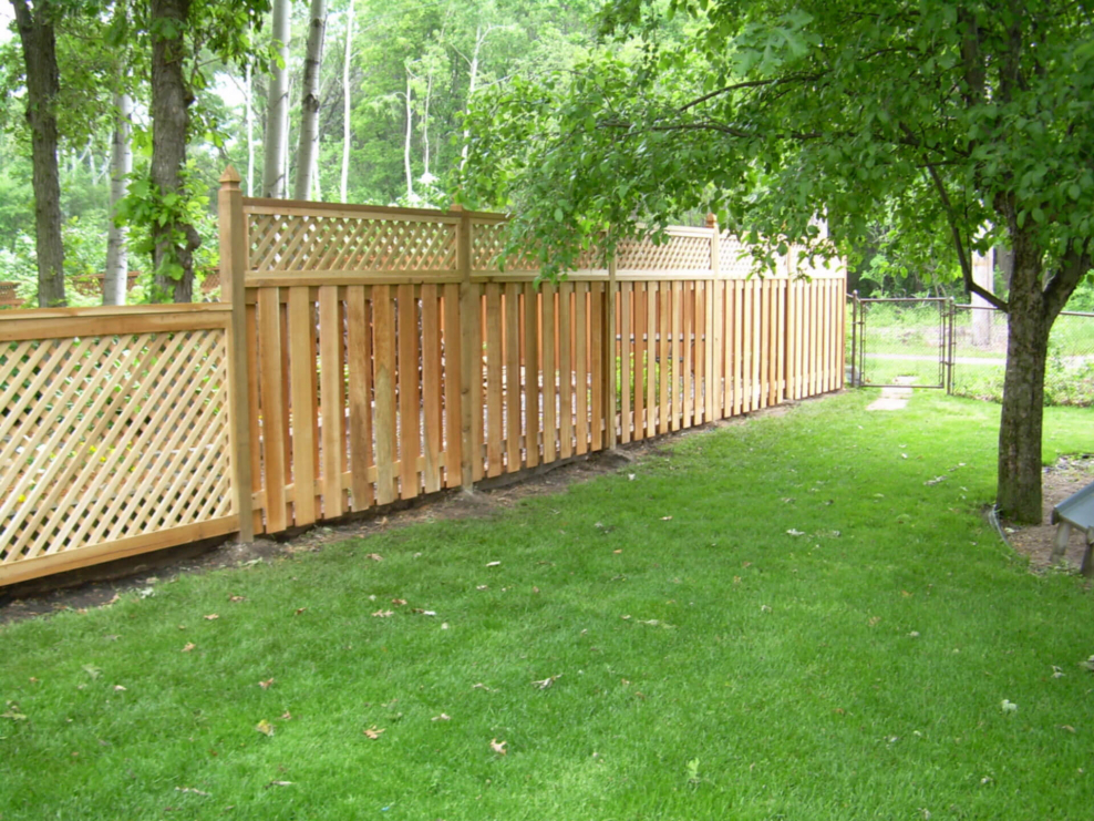 Шпалера на заборе