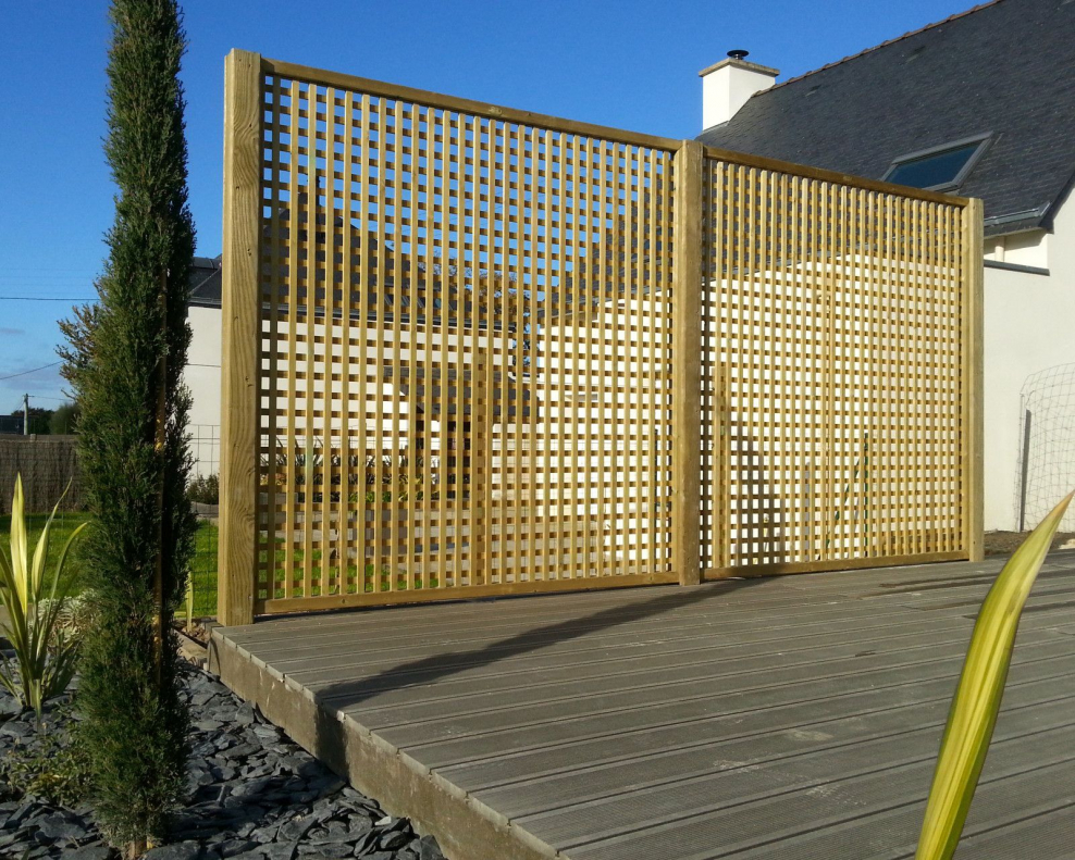 Шпалера на заборе