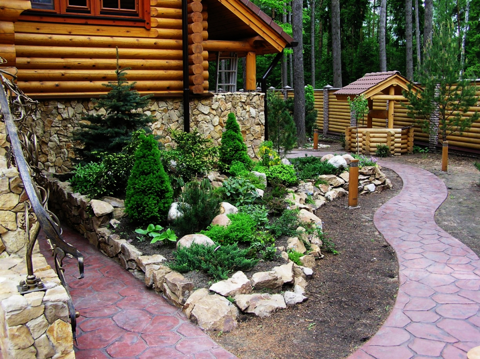 Хвойники в палисаднике с камнями