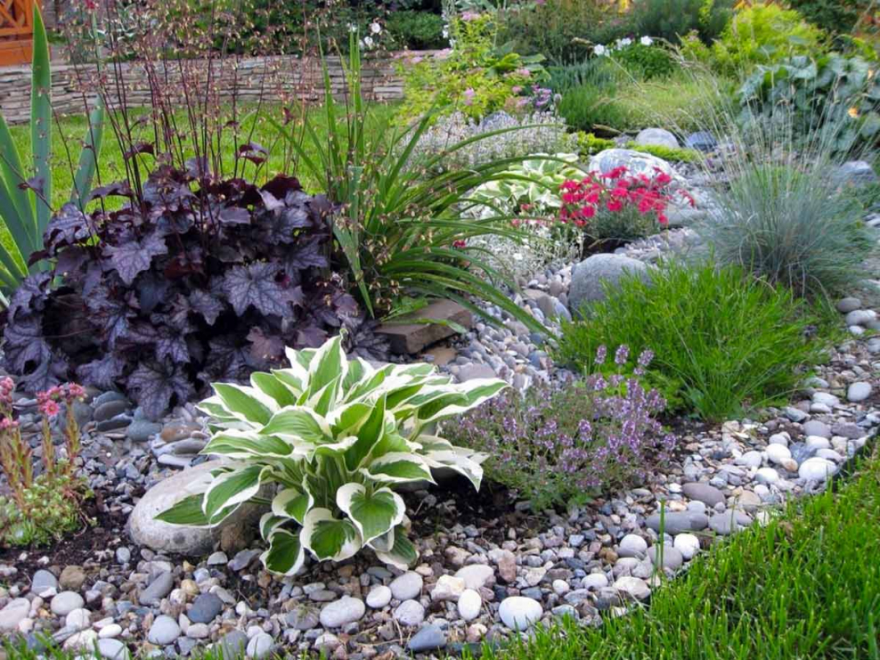 Рокарий Каменистый сад