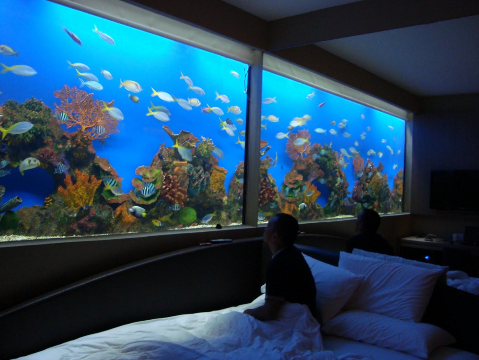 Аквариум в спальне