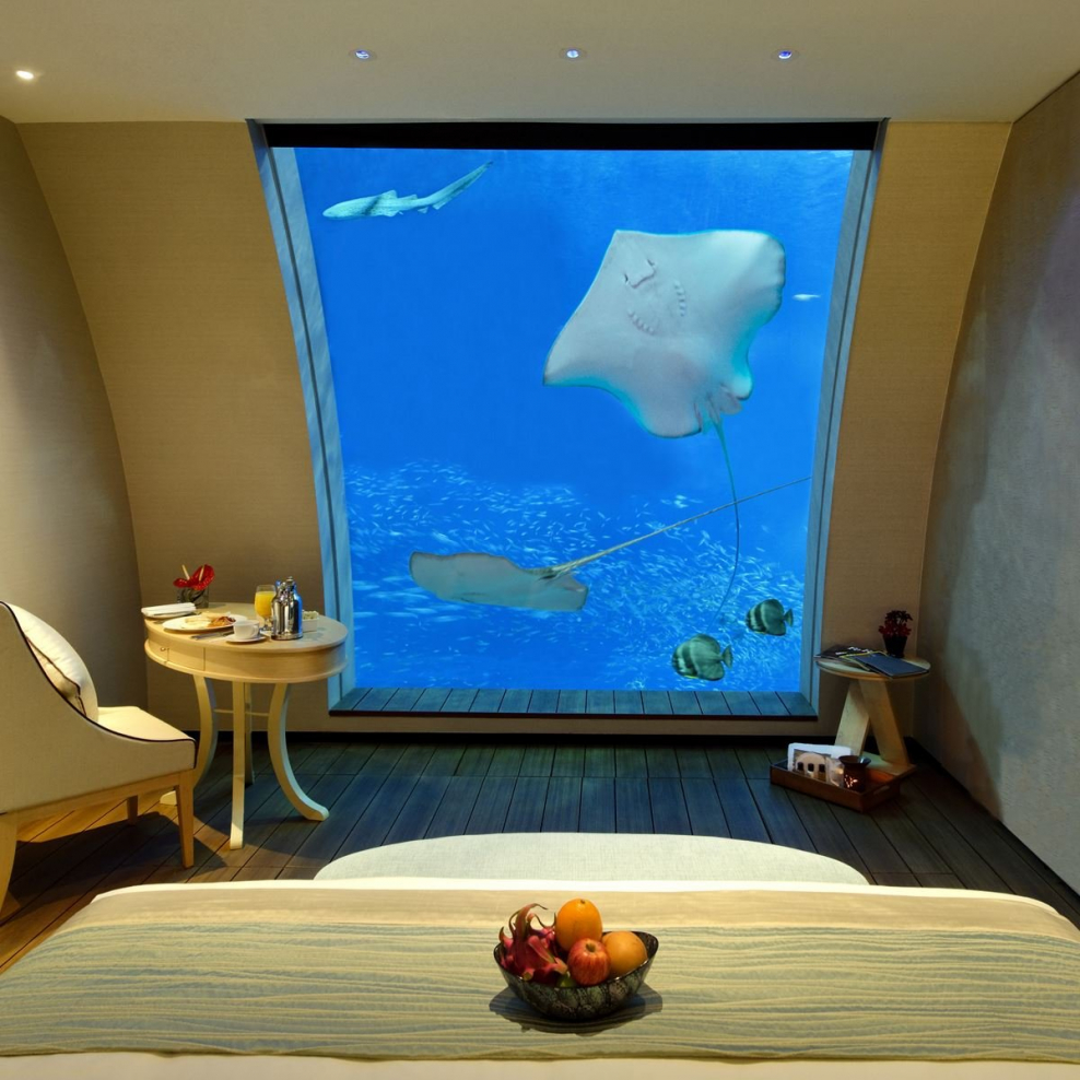 Resort World Sentosa, Сингапур подводный отель