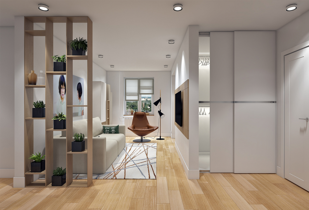 Перегородка между прихожей и гостиной