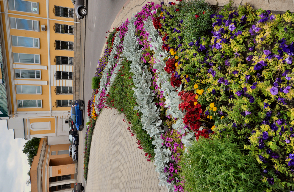 Цветник в автобусе