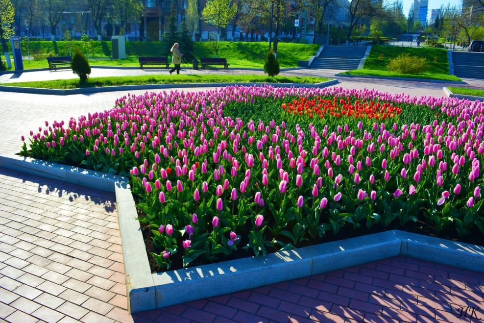 Клумбы в городе