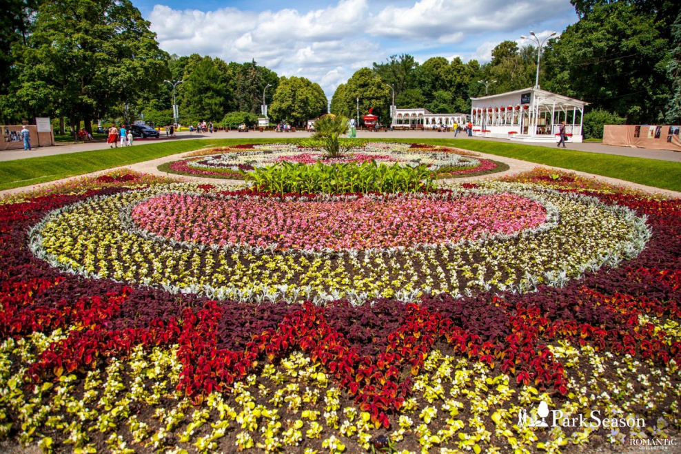 Парк Сокольники клумбы