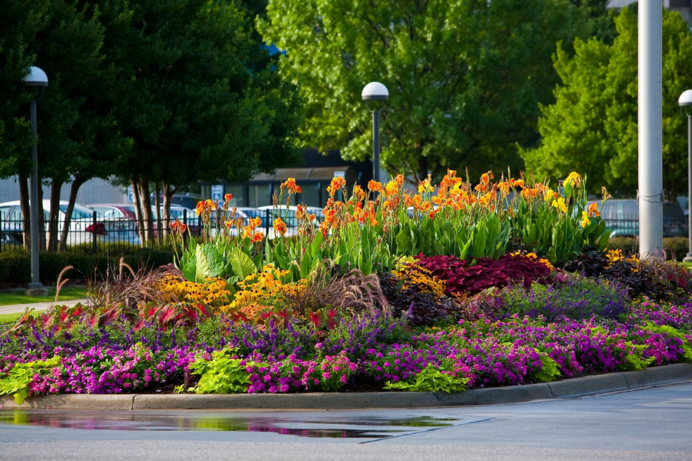 Смешанные бордюры(миксбордеры)