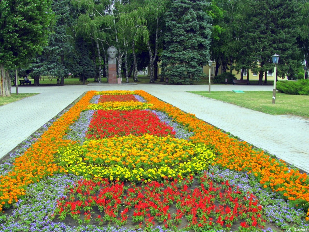 Городские клумбы