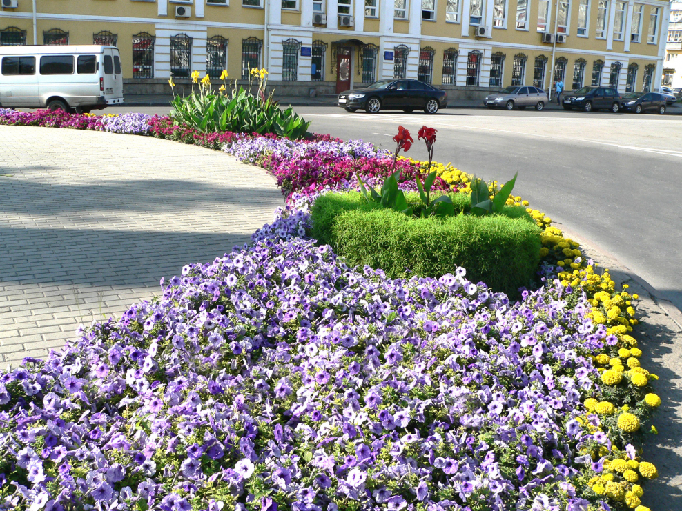Городские клумбы
