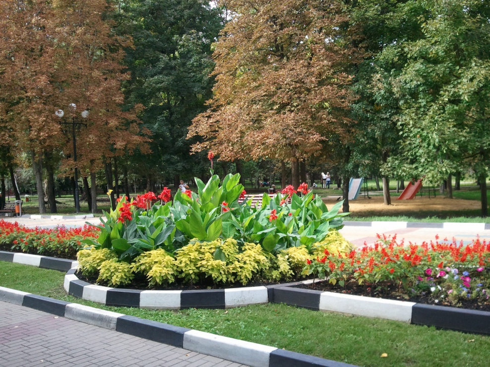 Цветники в городском озеленении