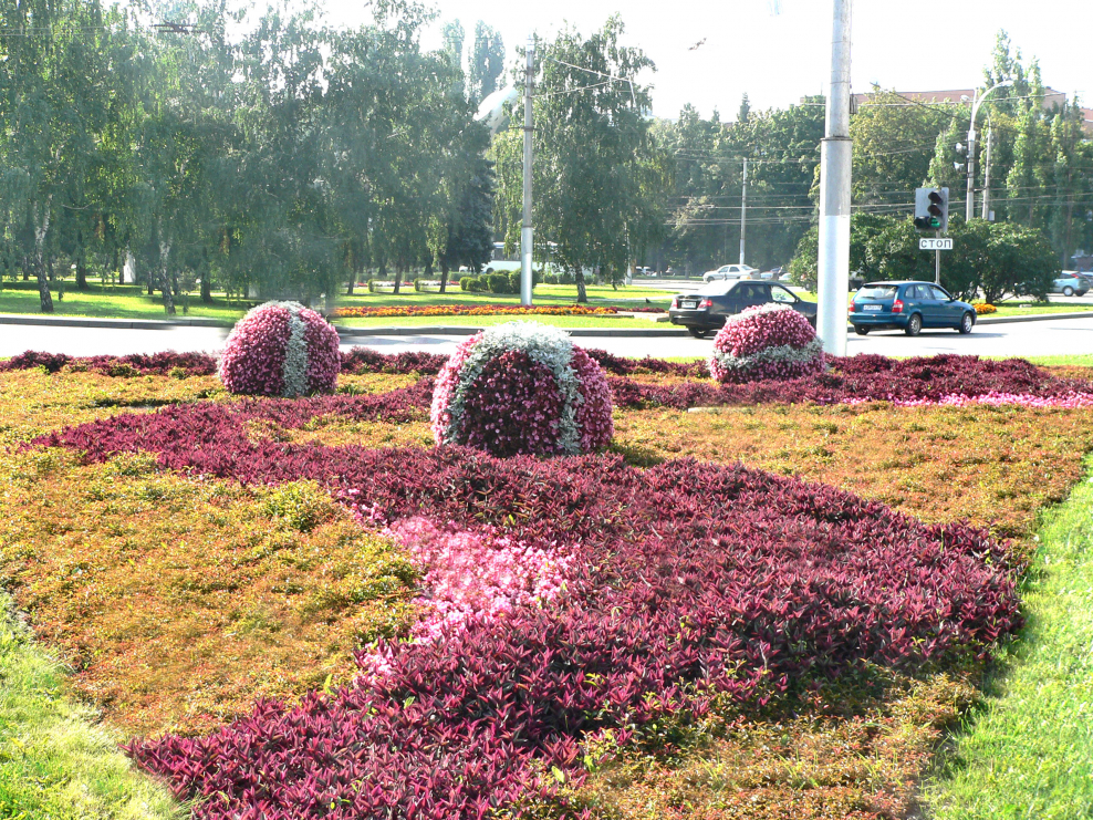 Воронеж Зеленхоз