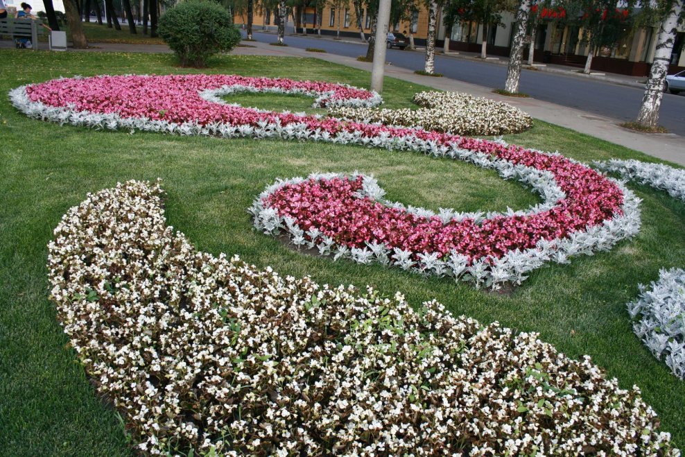 Красивые городские клумбы