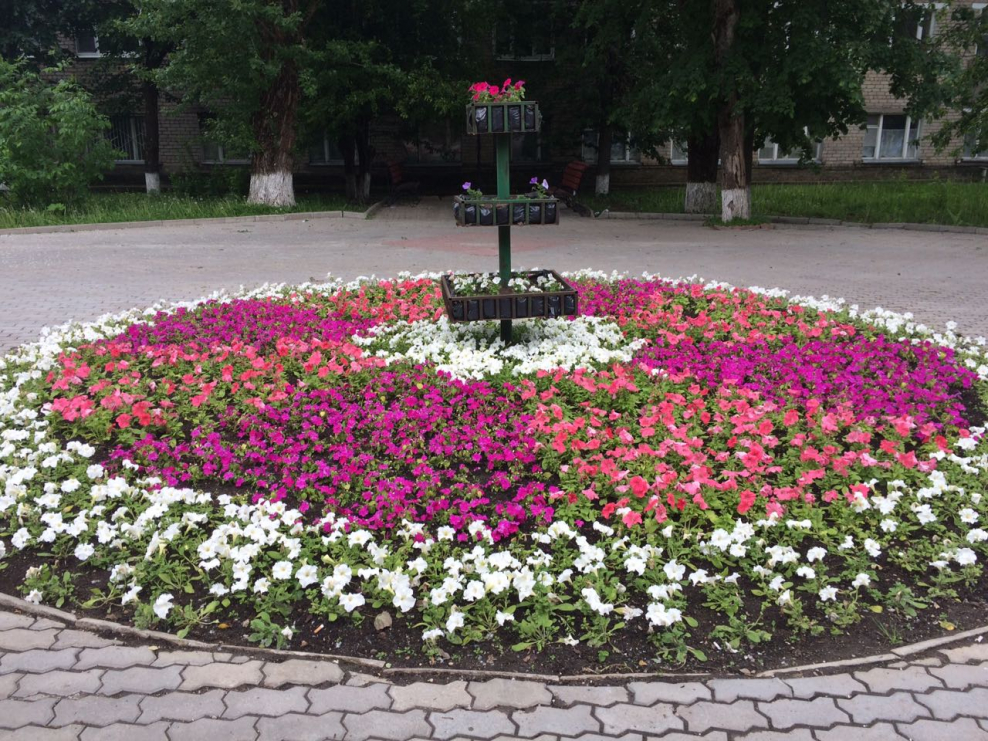 Клумбы в городе