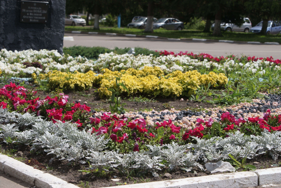 Городские клумбы Узловая Тульская область