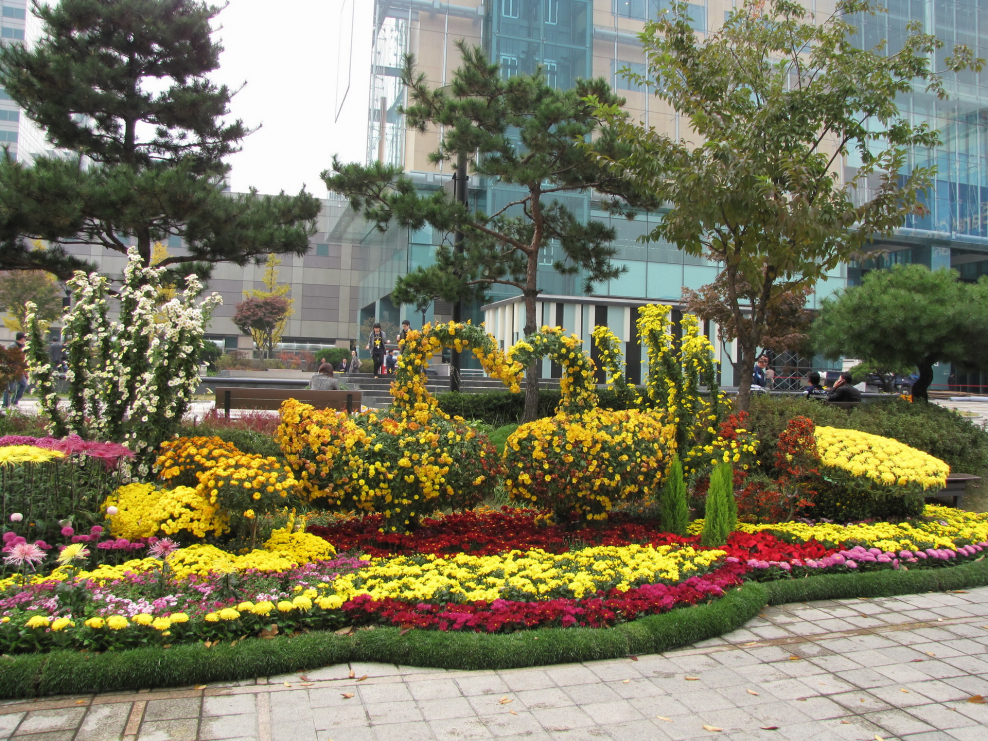 Озеленение клумб