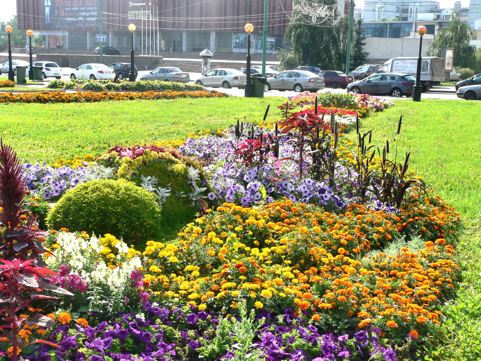 Бергамо цветники