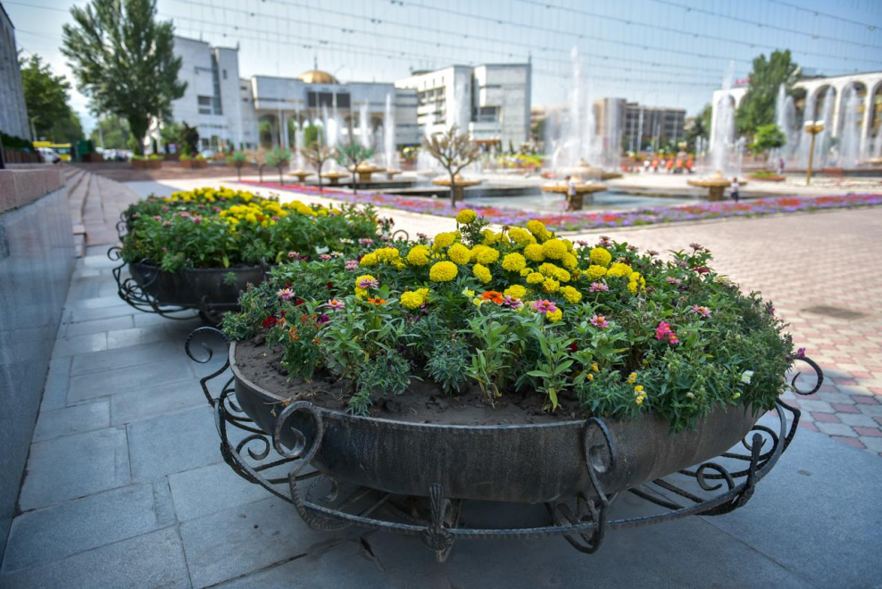 Современные городские клумбы