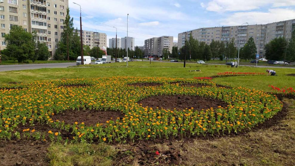 Цветники Петрозаводск 2020