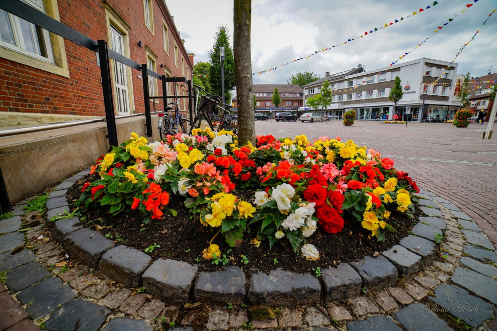 Цветники в городе