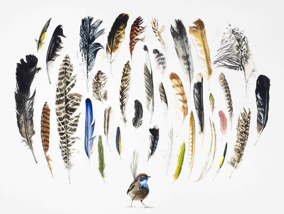 Перья для декора интерьера