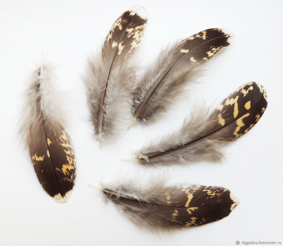 Интерьерная живопись перья