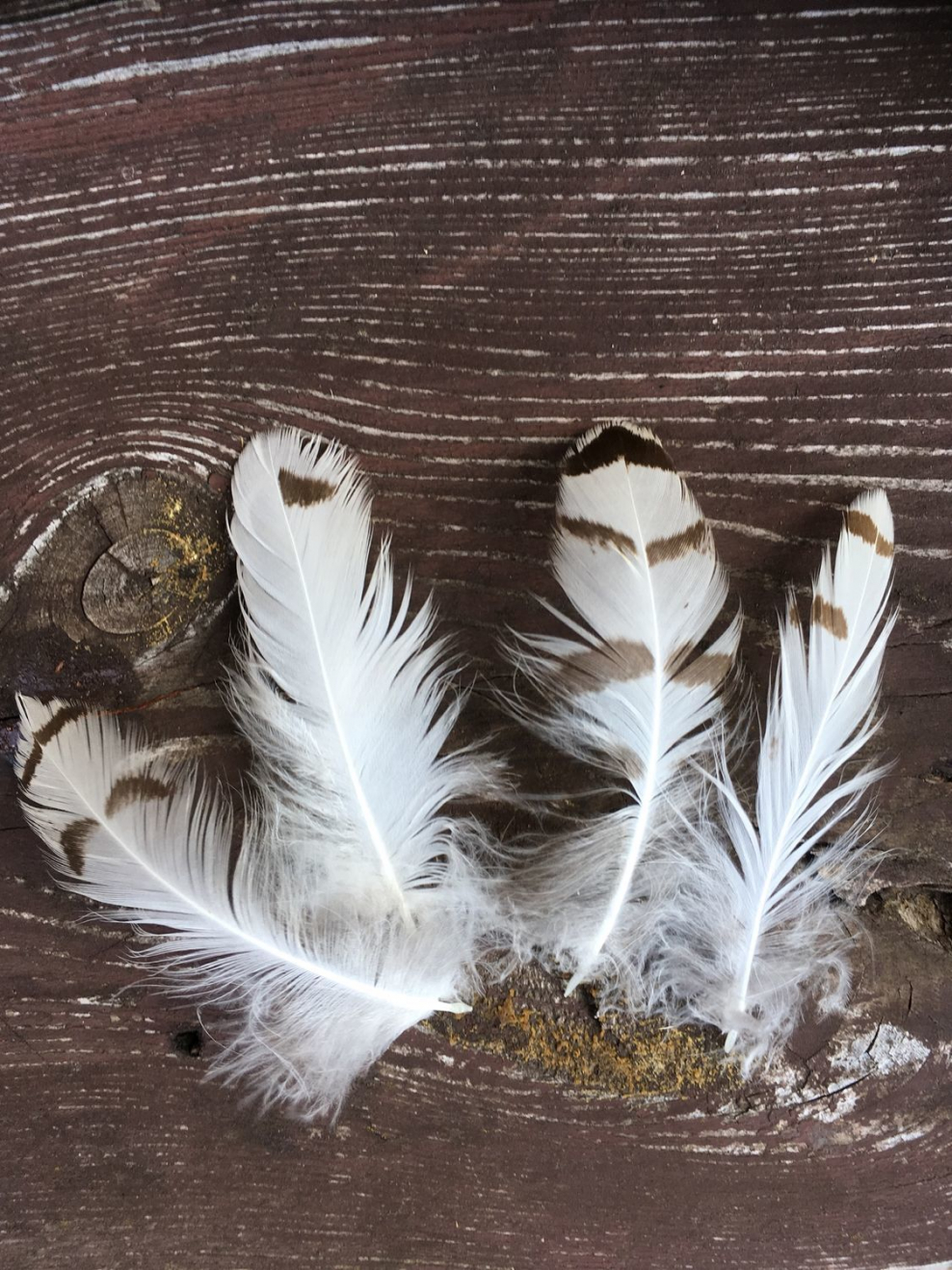 Спальня с перьями