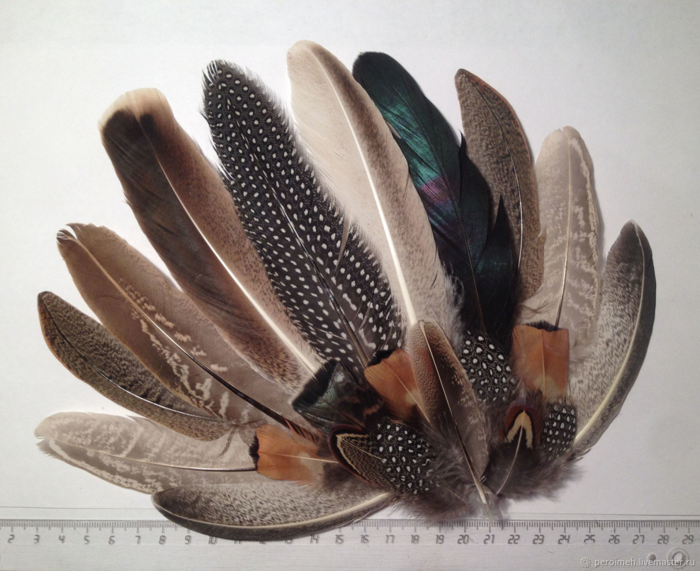Птица из перьев своими руками
