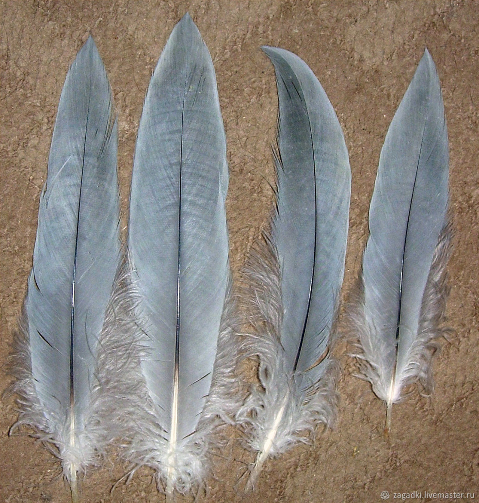 Украшения из перьев