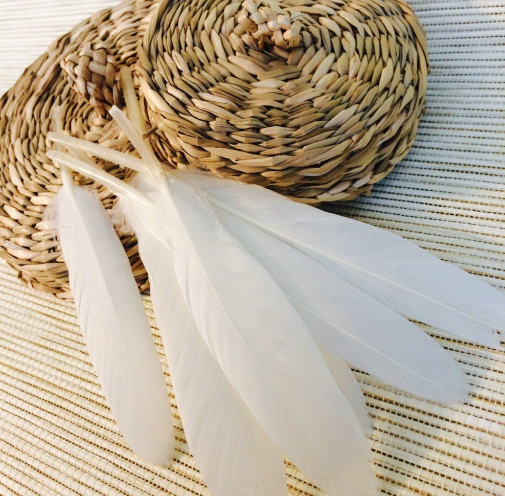 Перо, Япония