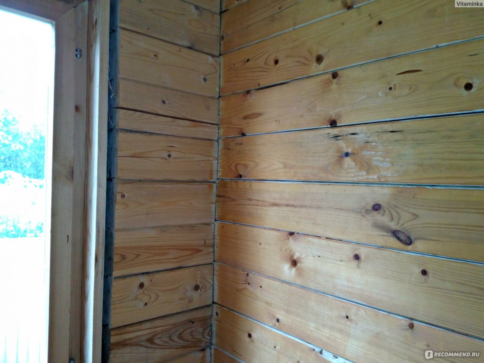 Сенеж лиственница