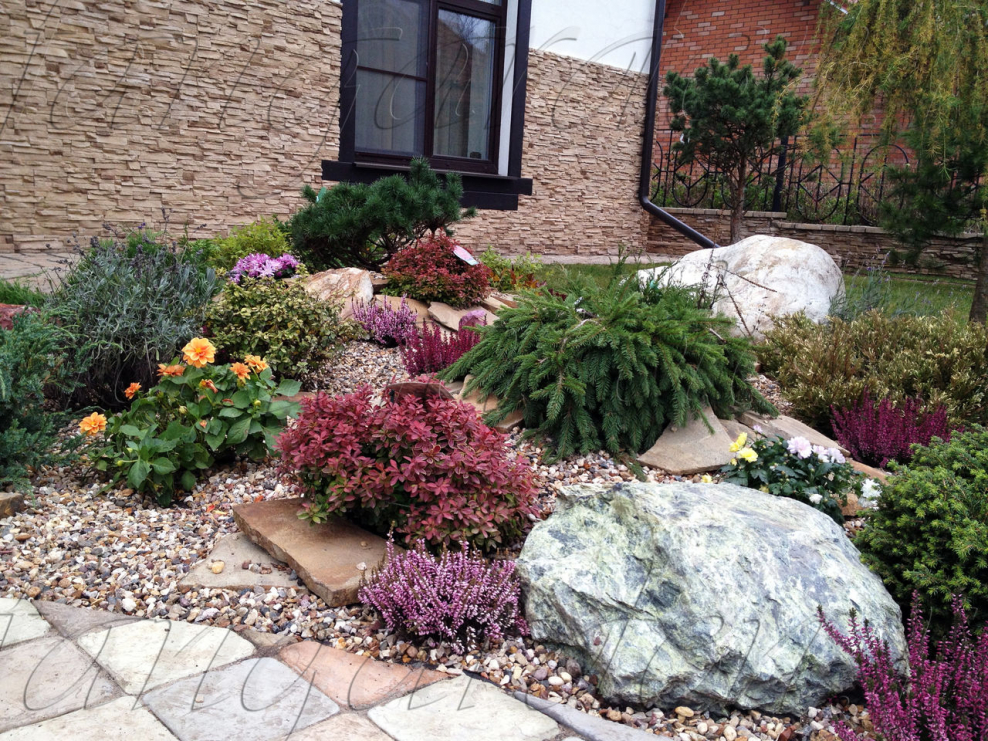 Хвойники Альпийская Альпийская горка