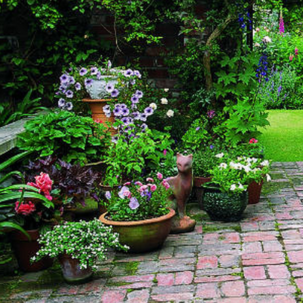 Цветы в горшках в саду