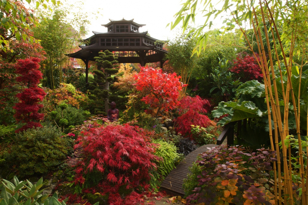 Стиль китайского сада Шига куин