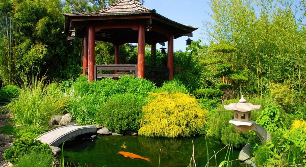 Китайский сад - ландшафт сада в китайском стиле