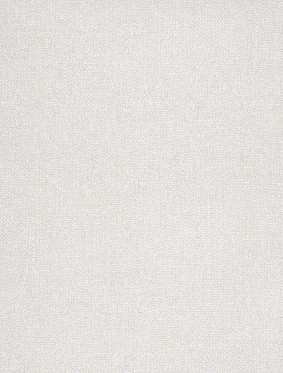 Скиф 801 латиница белая