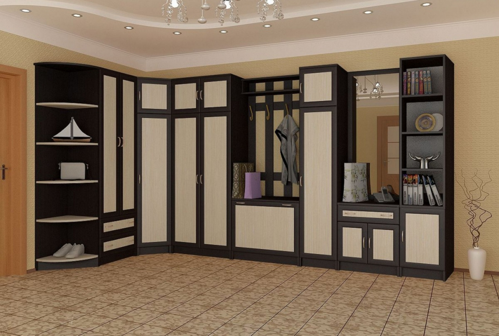 Шкаф-купе Элит-47