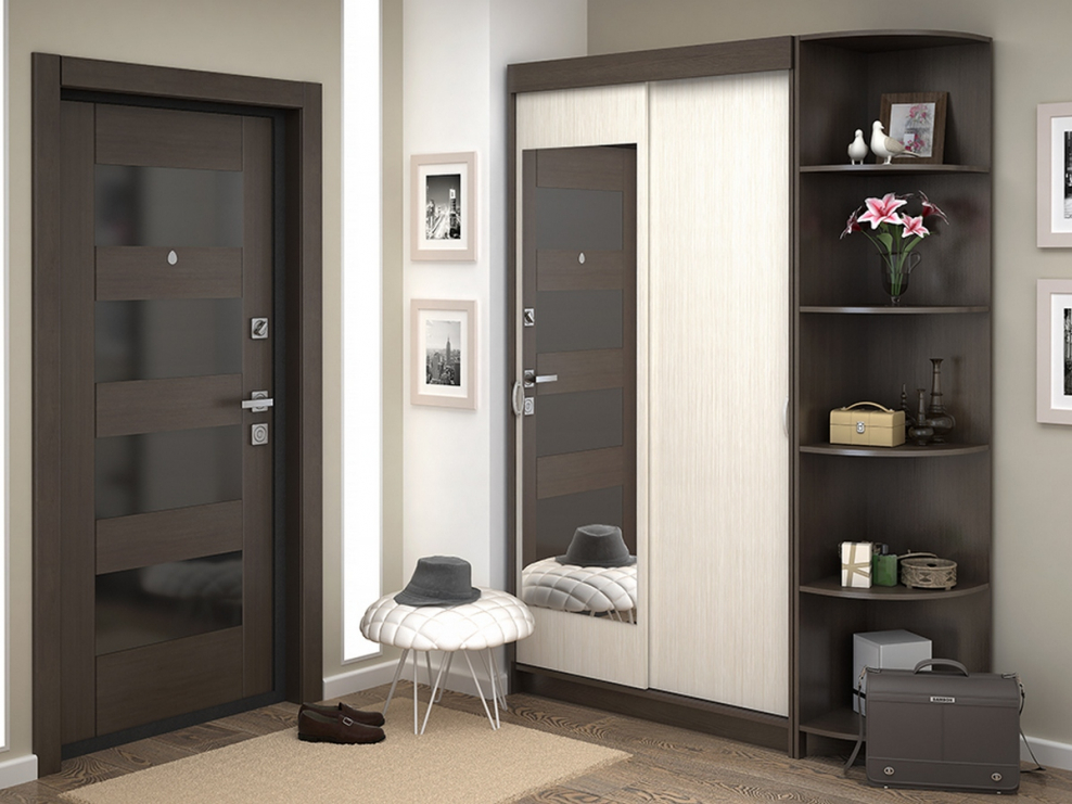 Шкаф купе Гретта 2