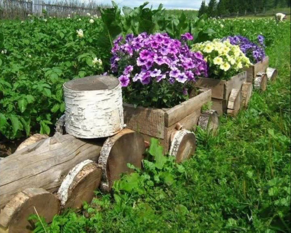 Клумбы из спиленных деревьев