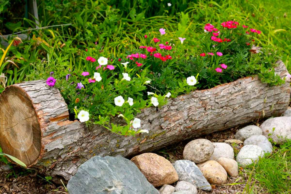 Цветник из бревна