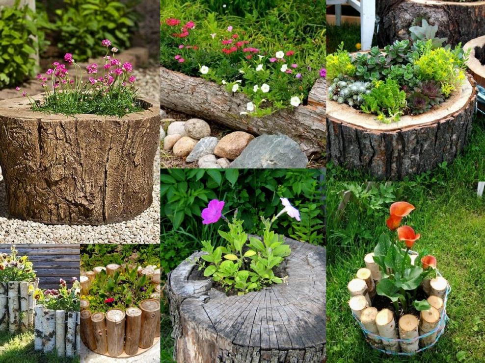 Клумбы из спилов дерева