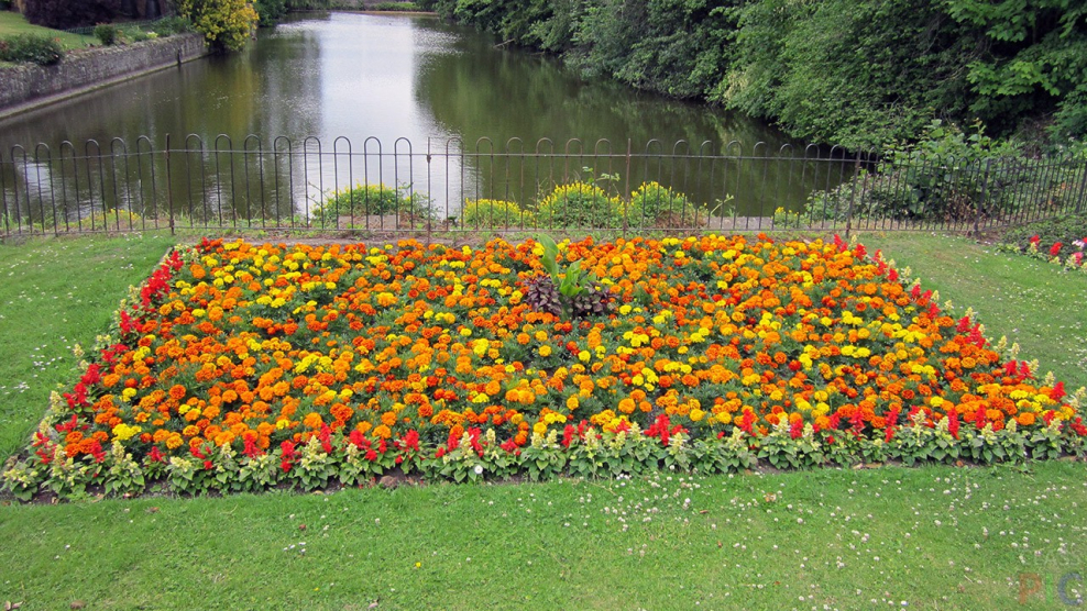 Прямоугольная клумба