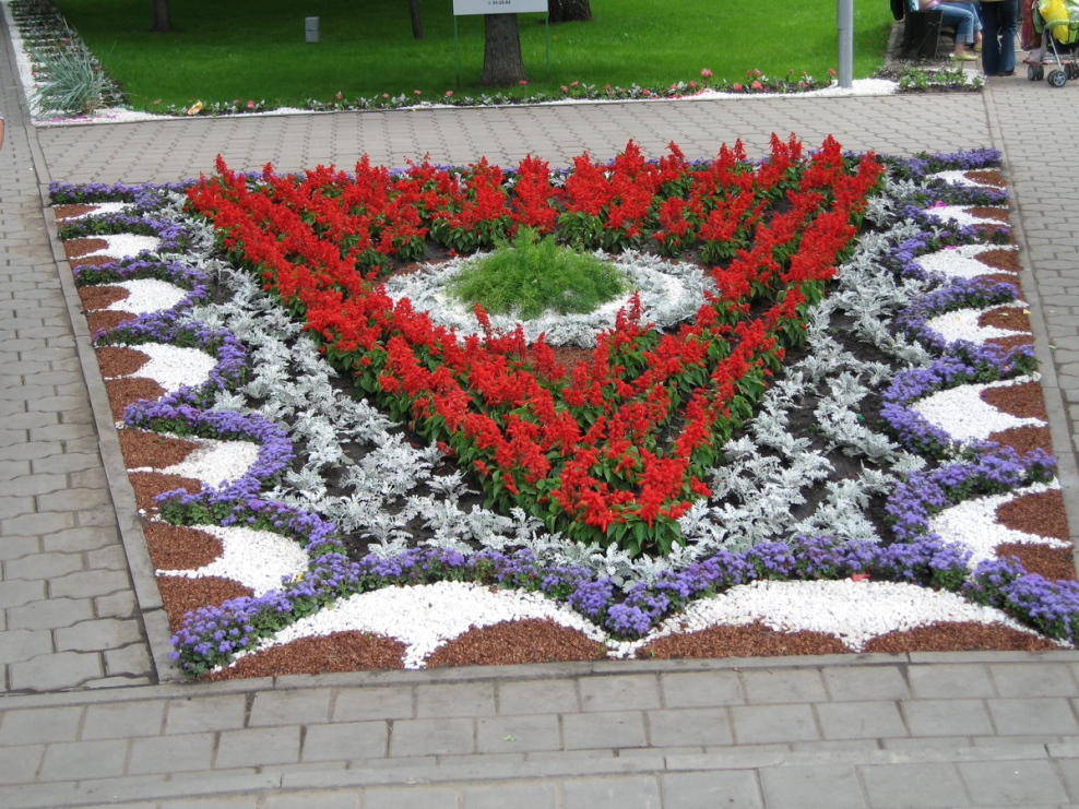 Красивые городские клумбы